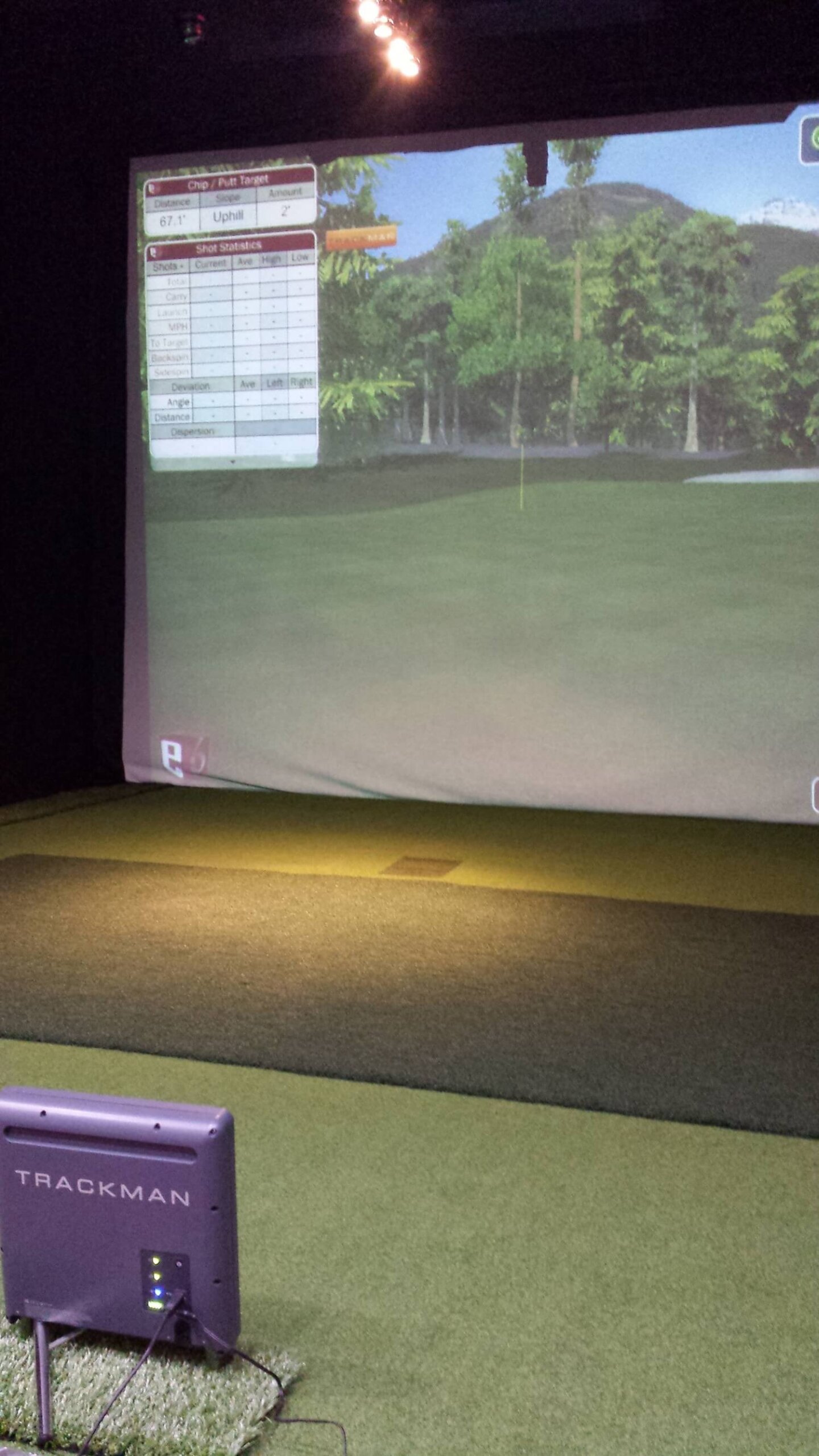 Trackman Golf Simulator